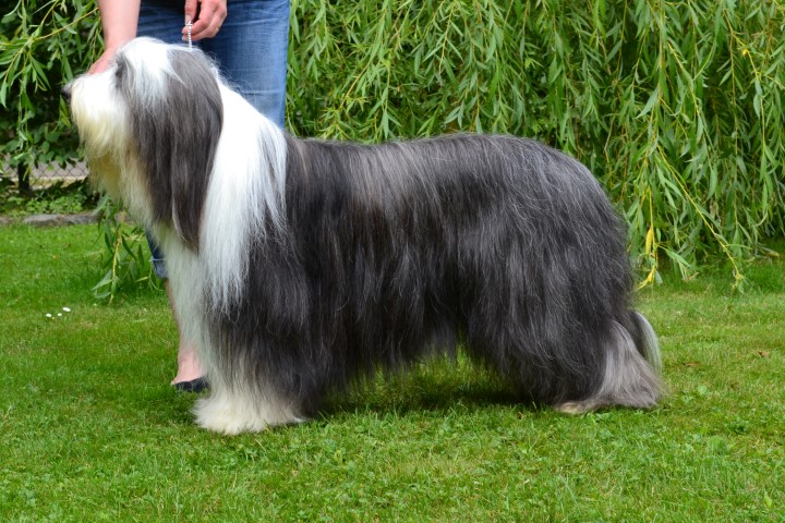DSC 0072 Small