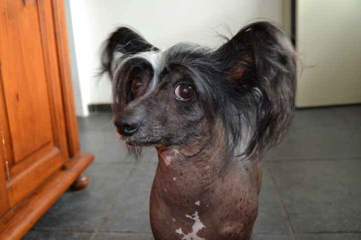 DSC 0122 Small