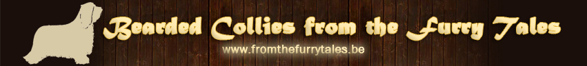 fromthefurrytales banner